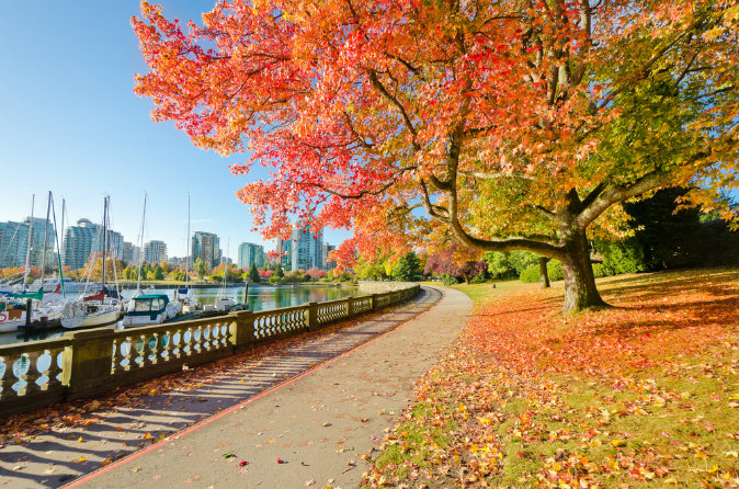  Công viên Stanley Park ở Vancouver, Canada